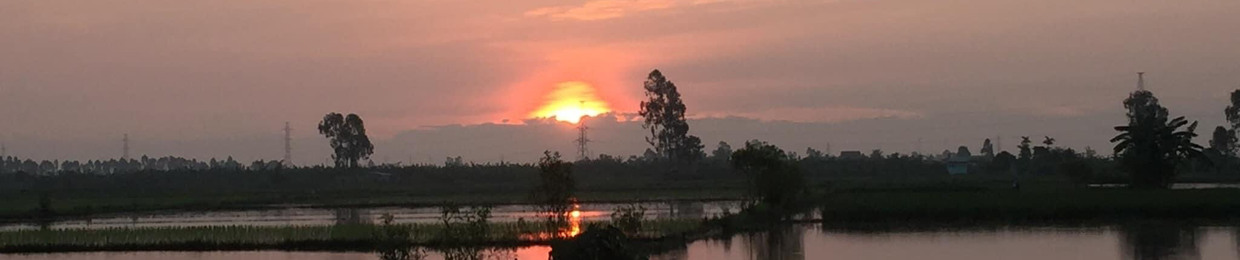 Nguyễn Hoàng Anh