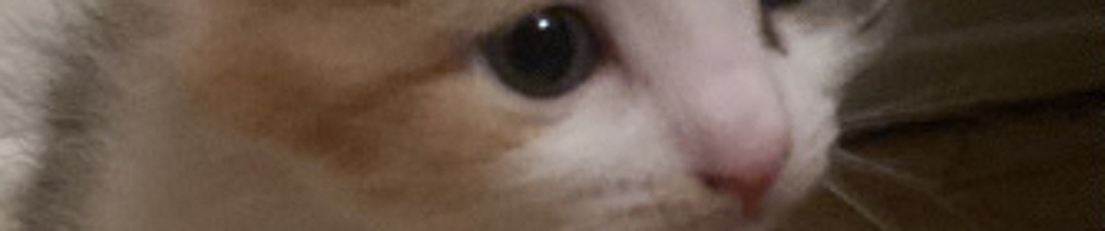 nikiniki