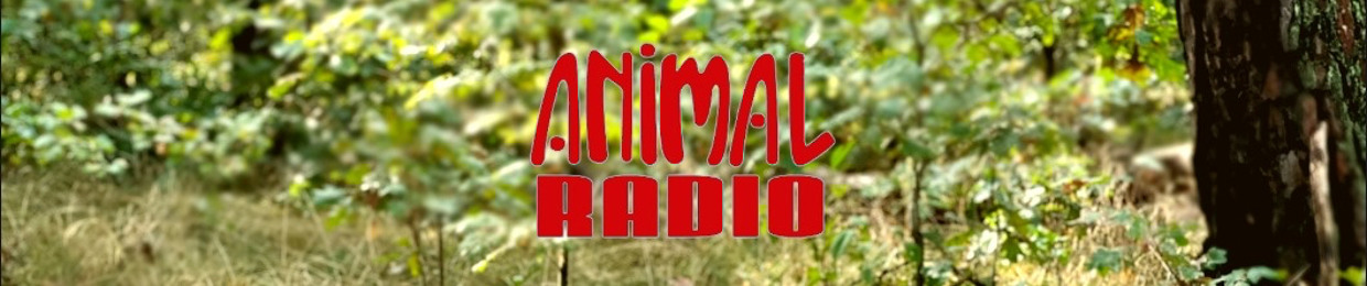 Animal Radio