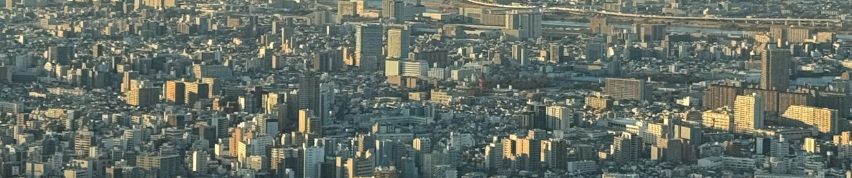 재성