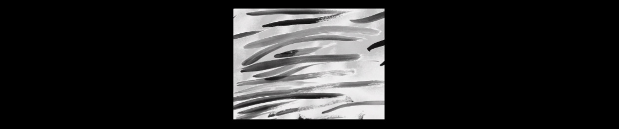 Ugly Dog Sketchy