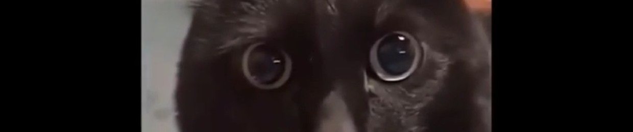 gøøber