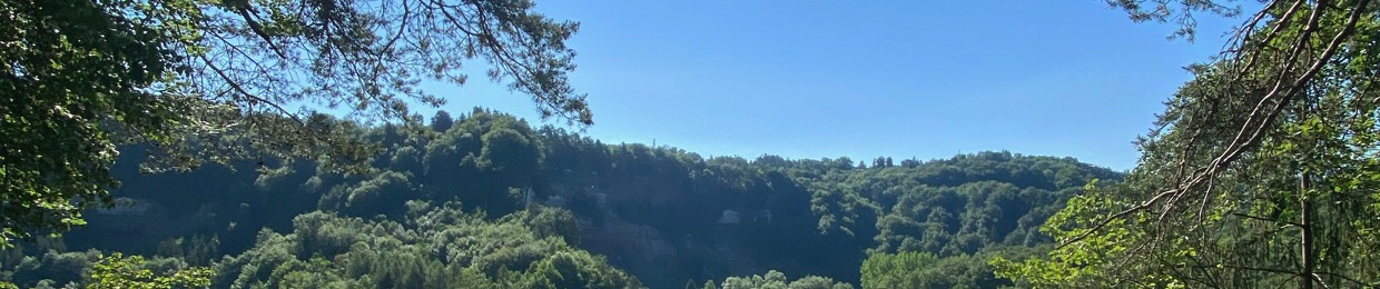 Aaliène 20003