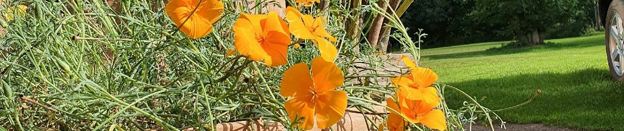 Tom 'Tommy P' Pearman