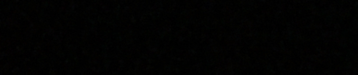 GOGETTA
