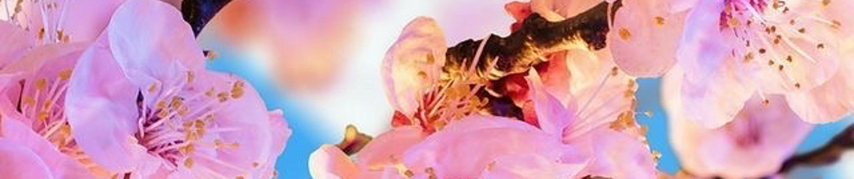 🌴🌸ʑ ℓ ʂ ῳ 1 1🌸🌴