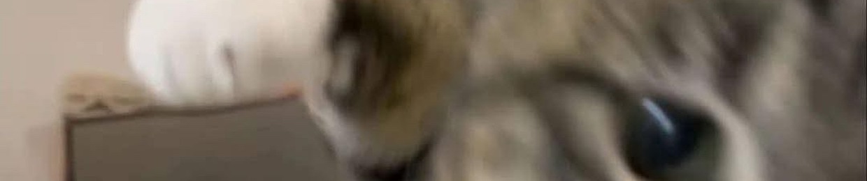 kedieniunhac_ilovehjph0p_remixlenlun