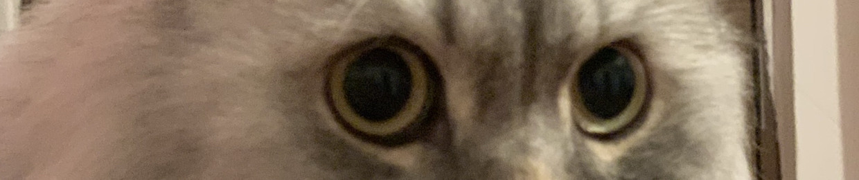 Titza