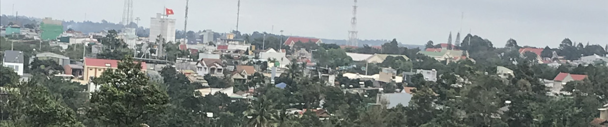 hoàng hổ