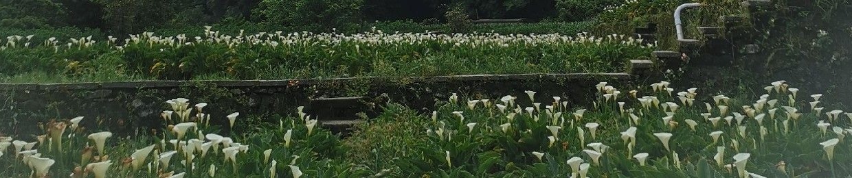 M. P. Blend（庄珍贵）