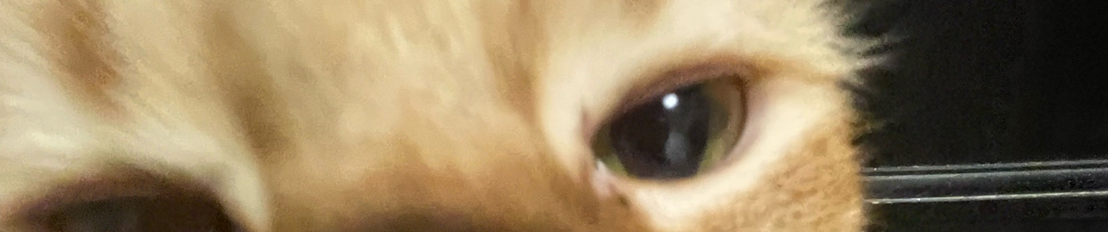 Scooby