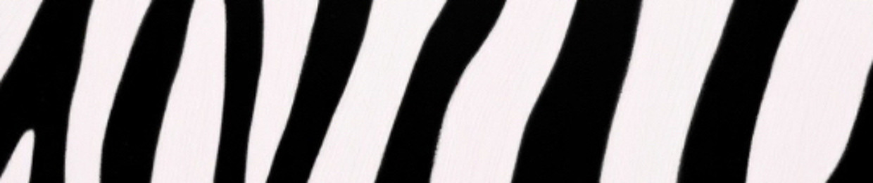 W!NT3R