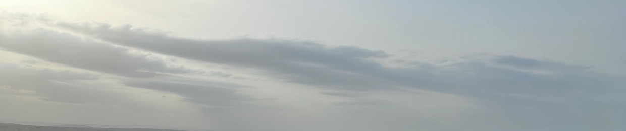 hanko