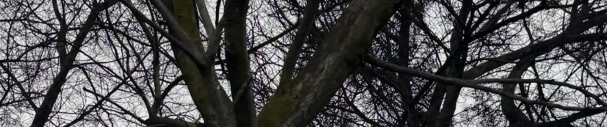 donde dios no puede oirme