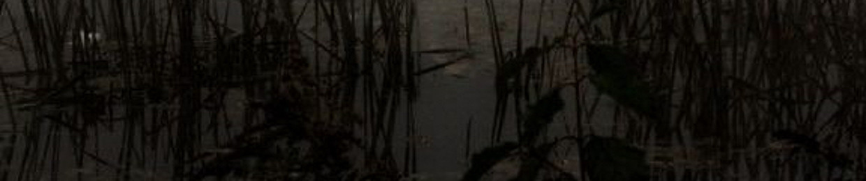 BAYJI