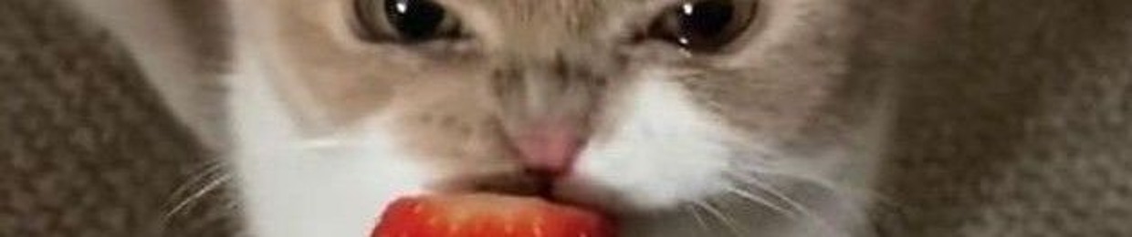 hello
