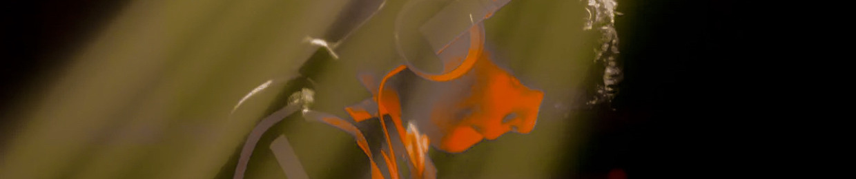 IMTHXD