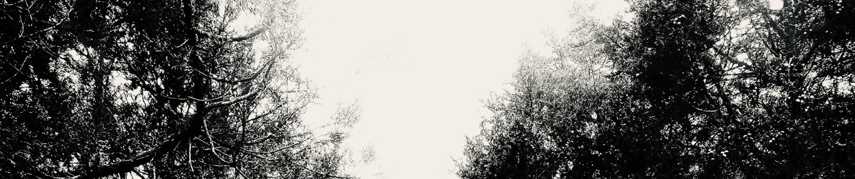 Themoon