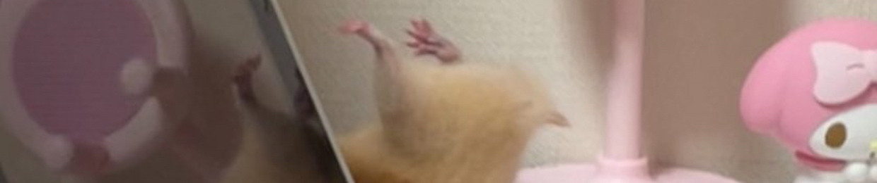 GR