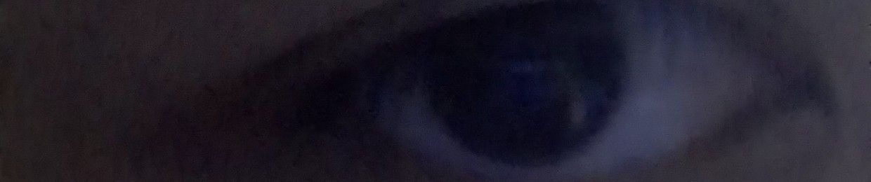 Gọi là Thích Khách