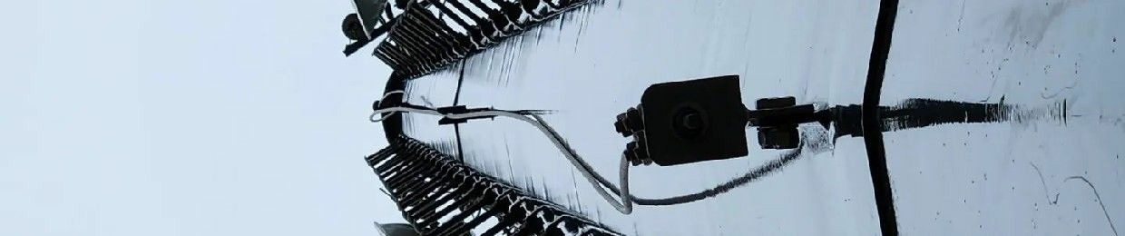 spinal:venae