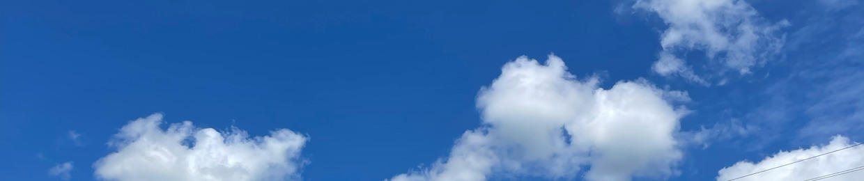 MAKAIRA THEE MIXER 🦋