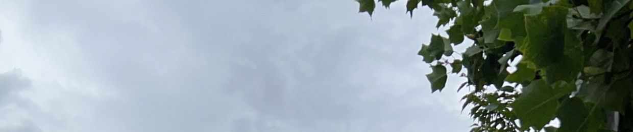 Nk