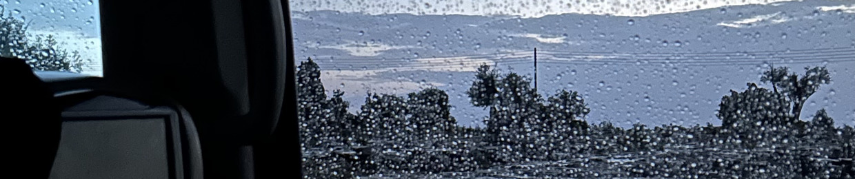 𝑁