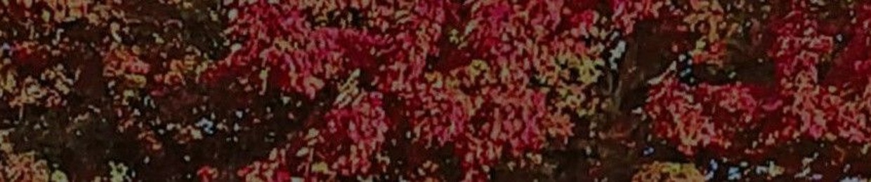 𝒬𝒶𝒹𝓇𝒾𝓎𝒶𝒽 𝒶𝒷𝒹𝓊𝓁𝓁𝒶𝒽 ✨️