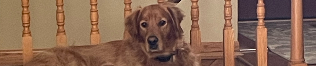 Sam Hrdlicka