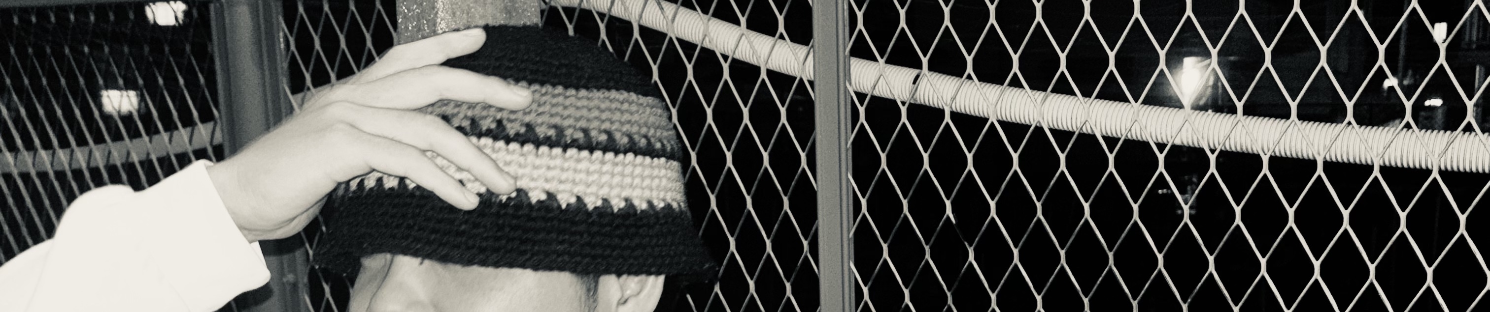 Stream biscuit music | Listen to songs, albums, playlists for free