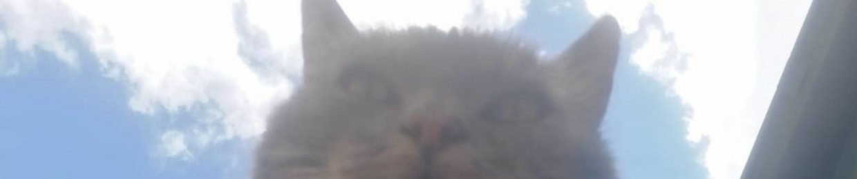 Cat-Wan-Do