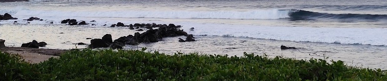 CCL_titi