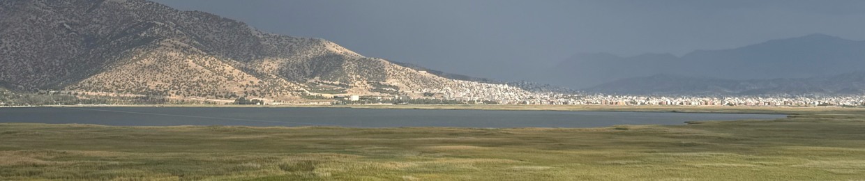 Mohammad B