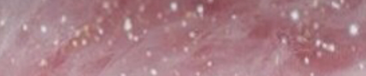 ‎