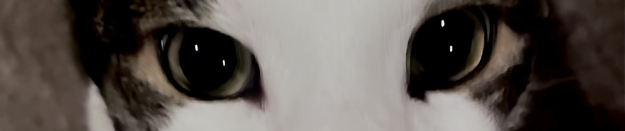 Amari