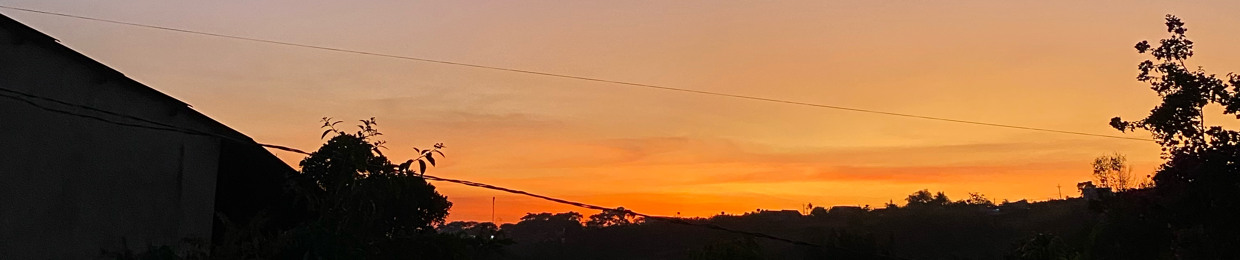 Thiên long Nguyễn phan