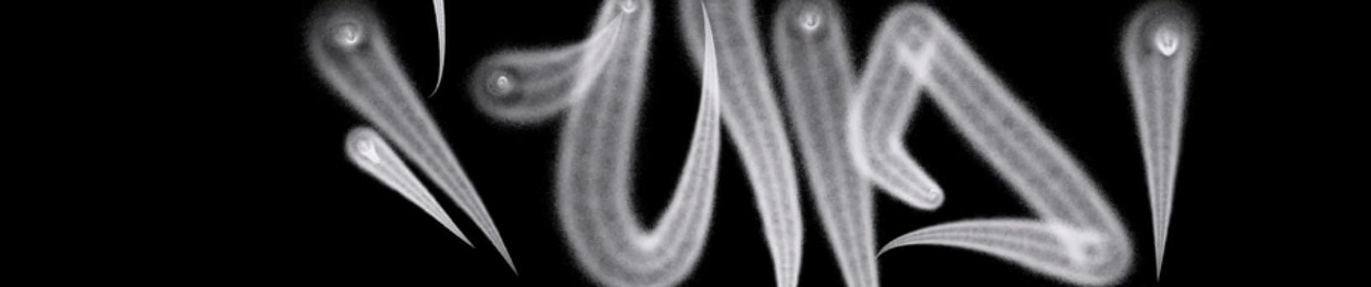 Suffolks Strongerside