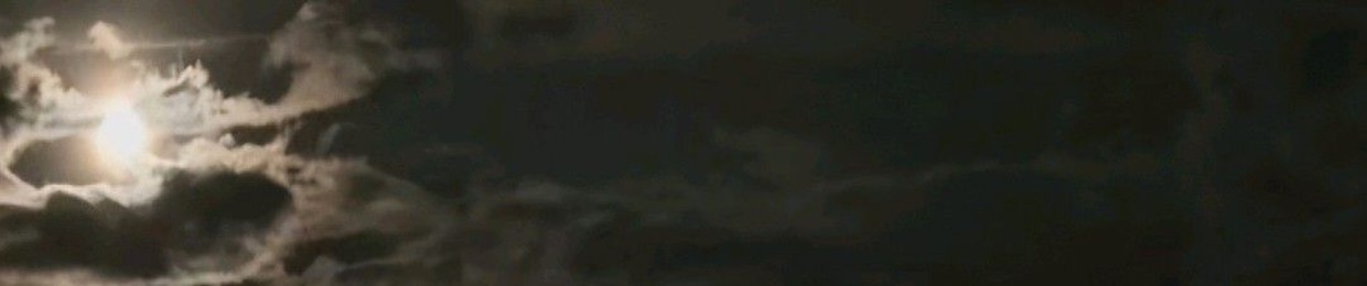 𝑪.