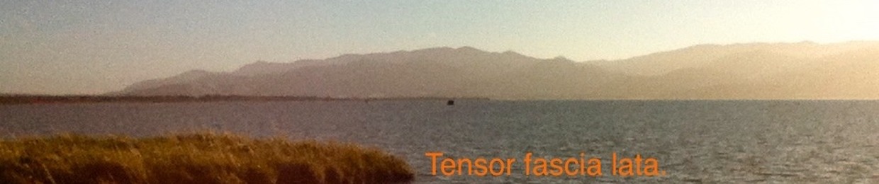 Tensor fascia lata