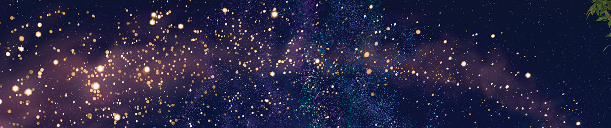 Steven Aleem Ibn Asgarali