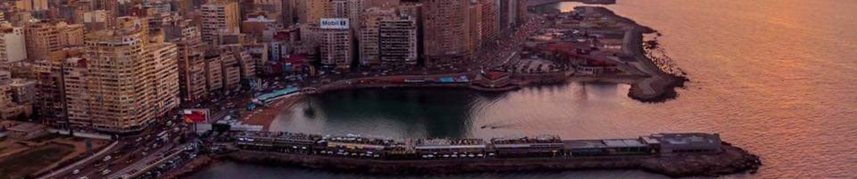 Basem Abd El-Moneim