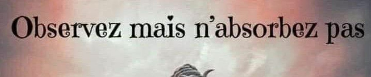 Bundii