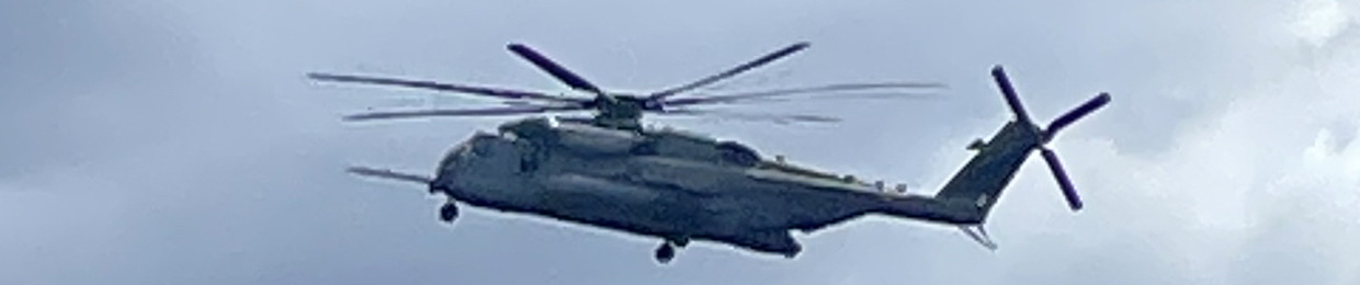 Vekds