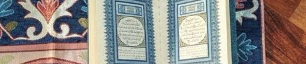 IBRAHIM METWALLY