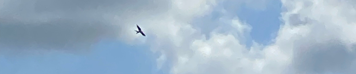 hxmble beast