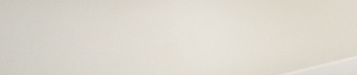 Balenciaga Stepper2.0