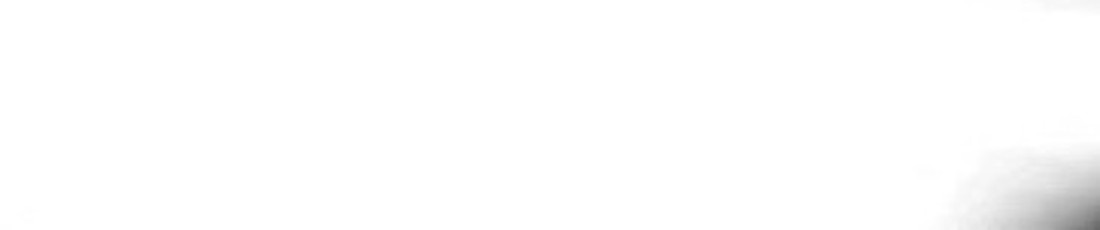 trixirl archive