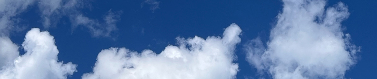 𝐏𝐑𝐎𝐃.NOIR