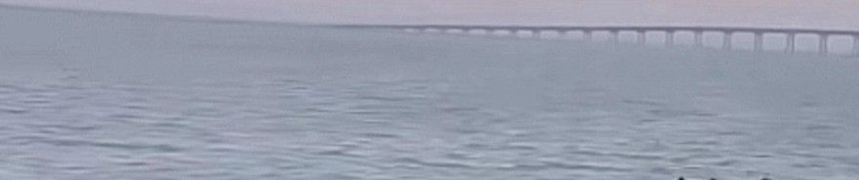 الحربي